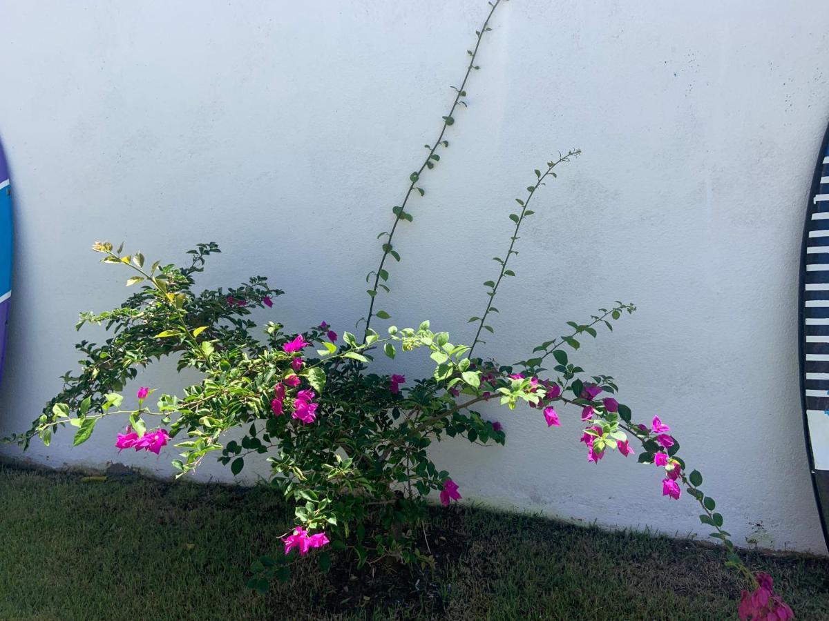 Prive Enseada De Tamandare Com Vista Mar公寓 外观 照片